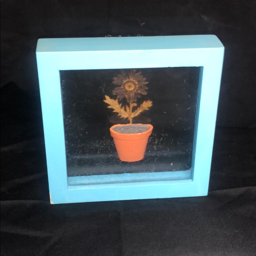 Sun Flower Pot In A Box - Picture 3 of 5